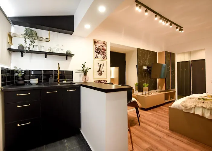 Boutique On Calea Victoriei - Downtown Apartment Bucharest